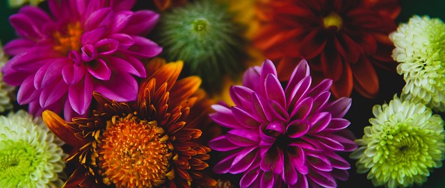 欧洲杯夺冠热门分析