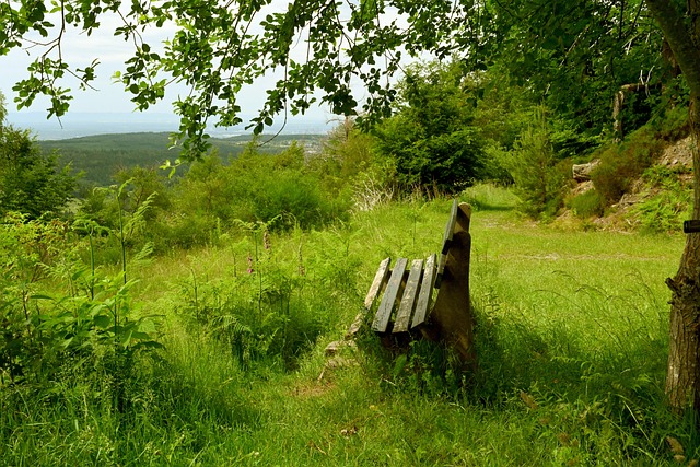 记者：孔蒂和那不勒斯的关系依然紧张，后者已经接触莫塔