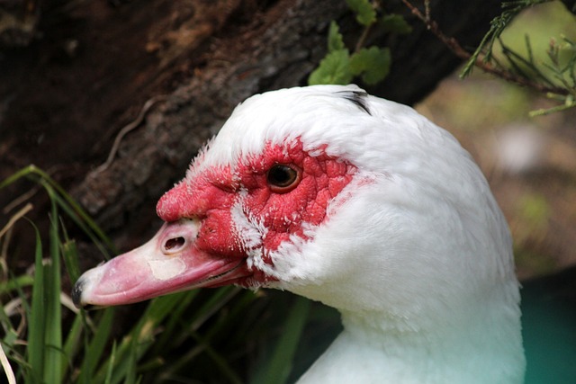 2025中超助攻榜：纳萨里奥、克雷桑9次并列第一，韦世豪8次