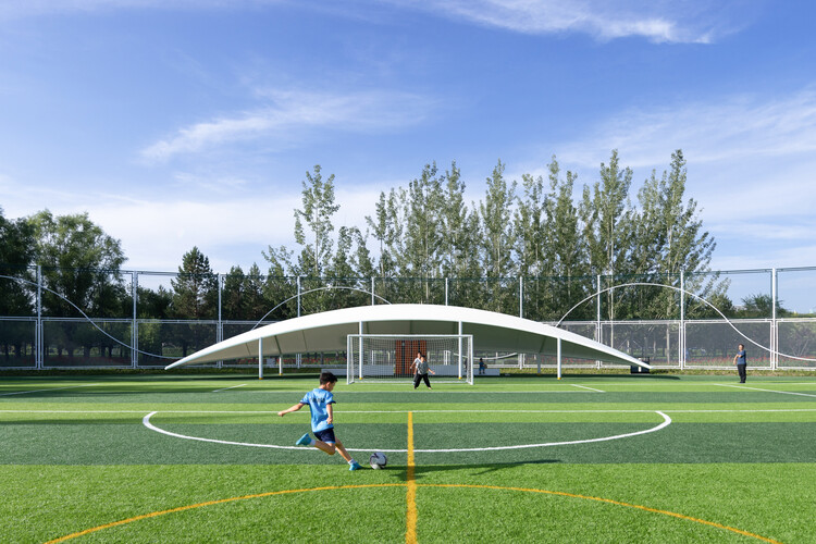 世界杯场外趣闻集锦